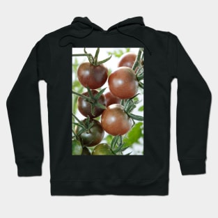 Solanum lycopersicum  &#39;Black Cherry&#39;  Cherry tomato Hoodie